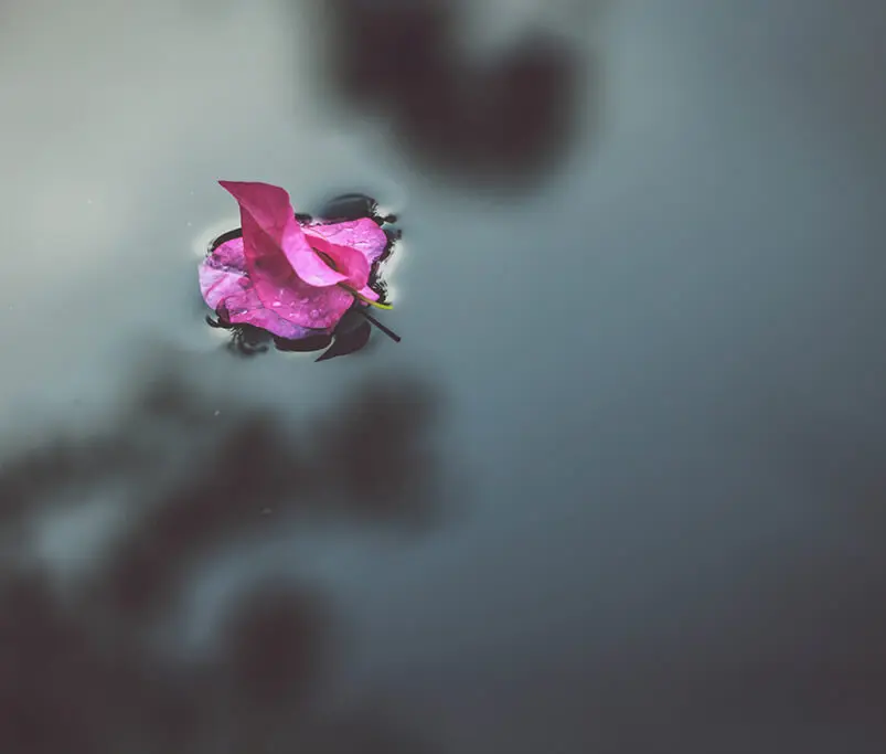 intro_image